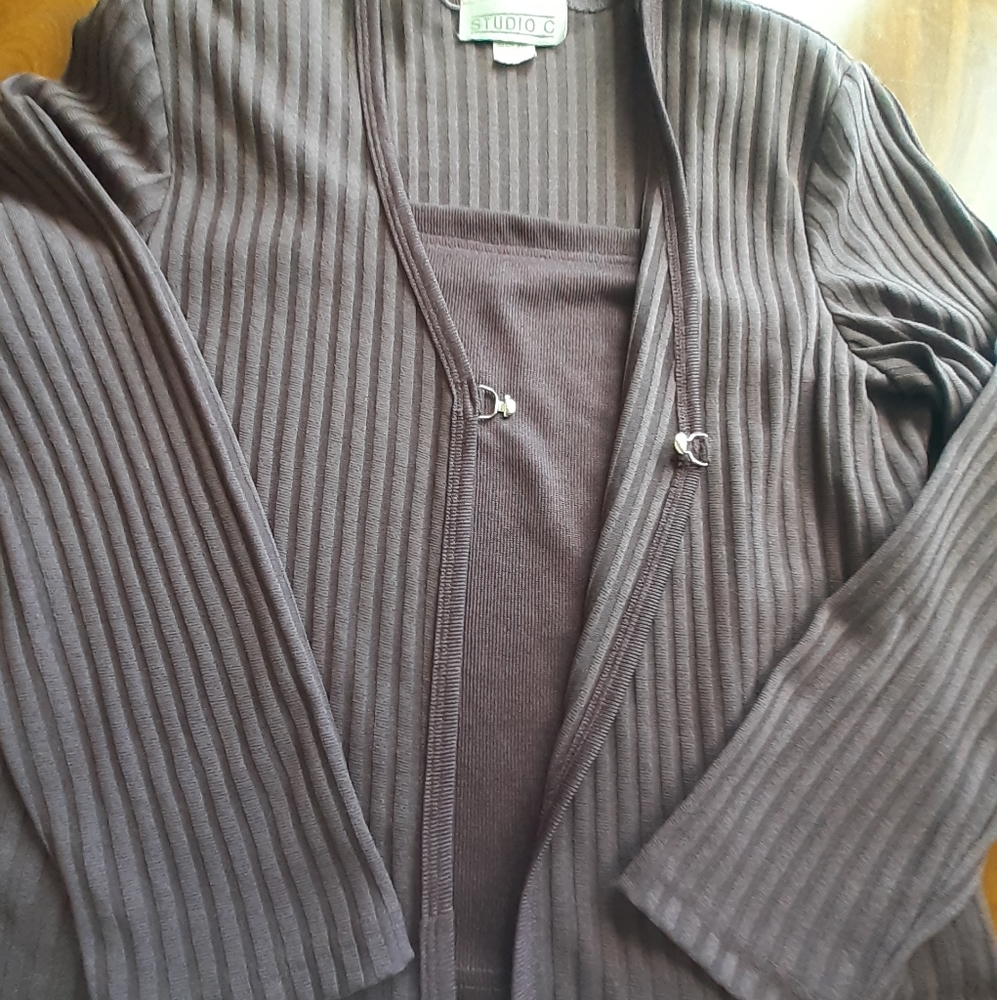 Studio C long sleeve shirt NWOT Sz L Purple/Plum
